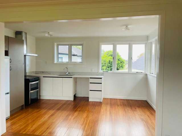 3 Marion Avenue Mount Roskill_3