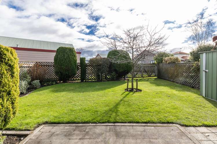 3/411 Eastbourne Street East Hastings_9