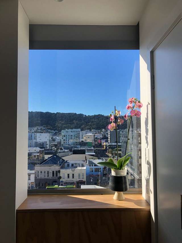 7a/130 Vivian Street Te Aro_2