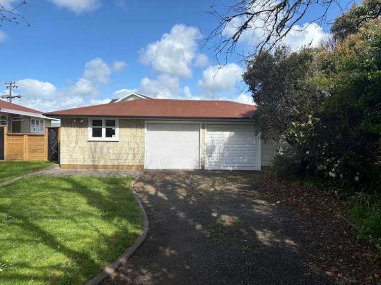 43 Hammond Street Bulls_14