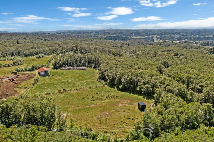 1878 Mangorei Road Mangorei_9