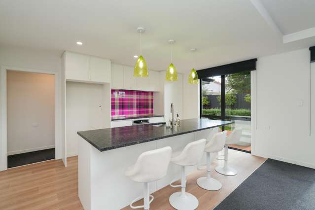 20B Holloway Street Waikiwi_2