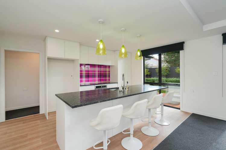 20B Holloway Street Waikiwi_2