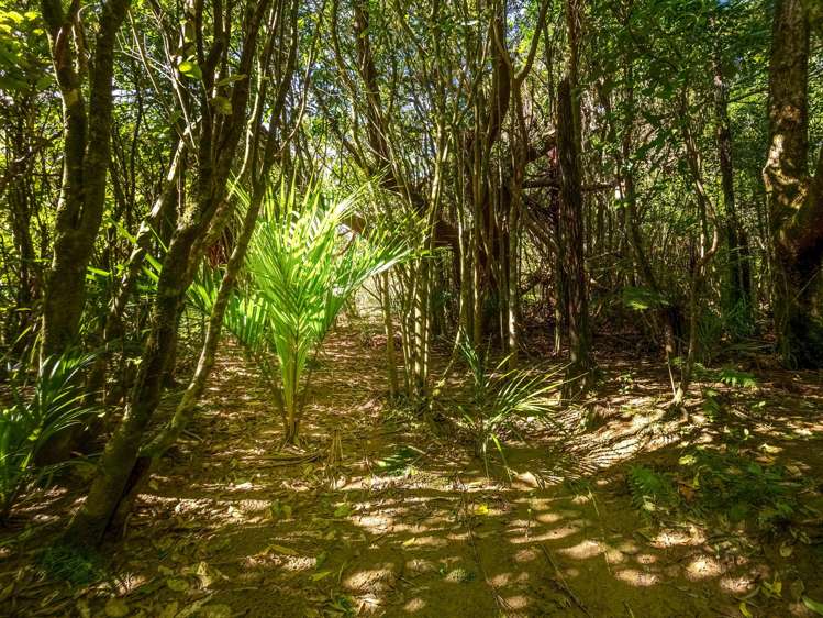 29 Tu Papaku Road Barrytown_30