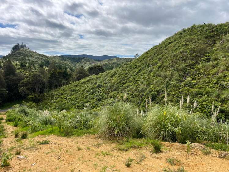 Lot 23 Waiotehue Road Herekino_10