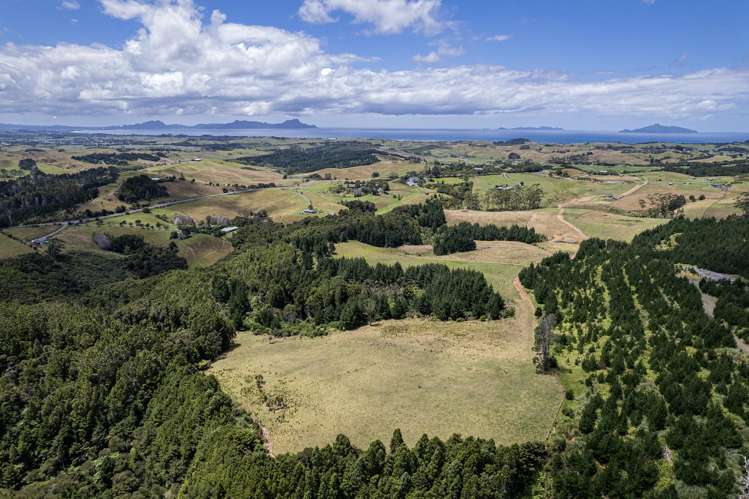 436A Glenmohr Road Waipu_39