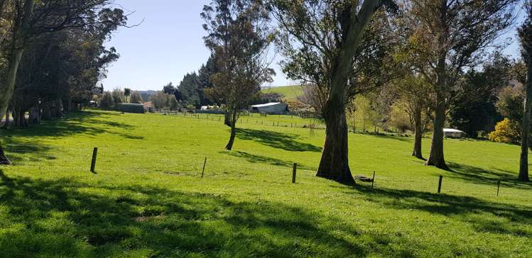 759 Adams Flat Road Balclutha_15