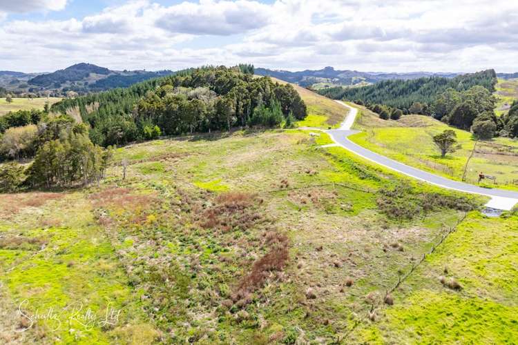 Whakapirau Road Maungaturoto_11