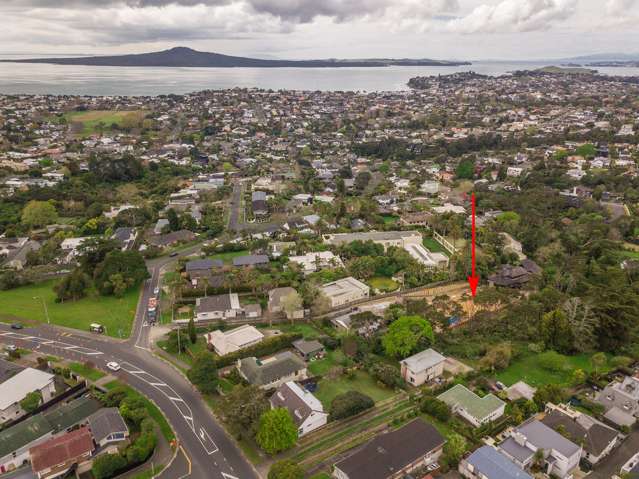 336a Kohimarama Road Saint Heliers_3