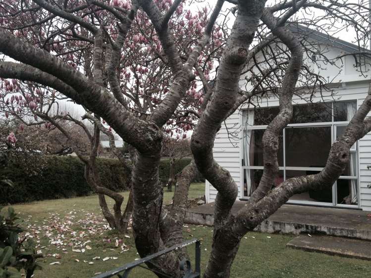 10 Harris Street Pleasant Point_2