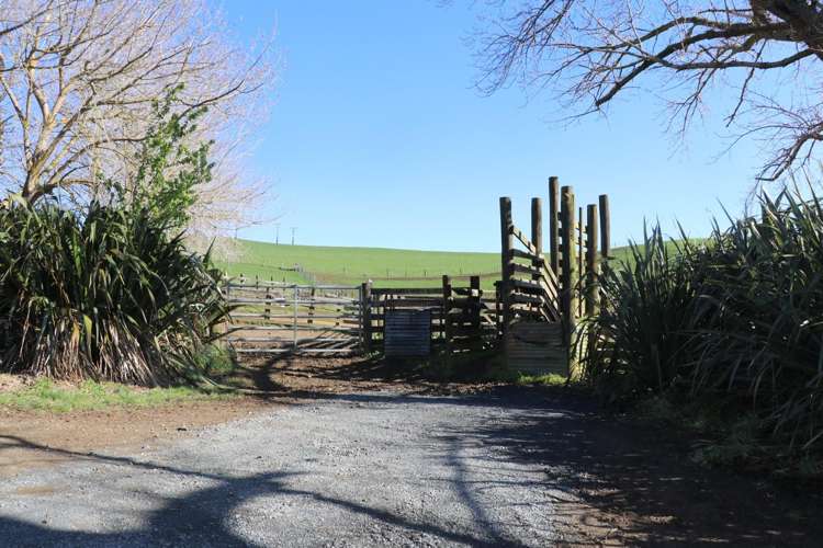 259 Elgood Road Ngaruawahia_19