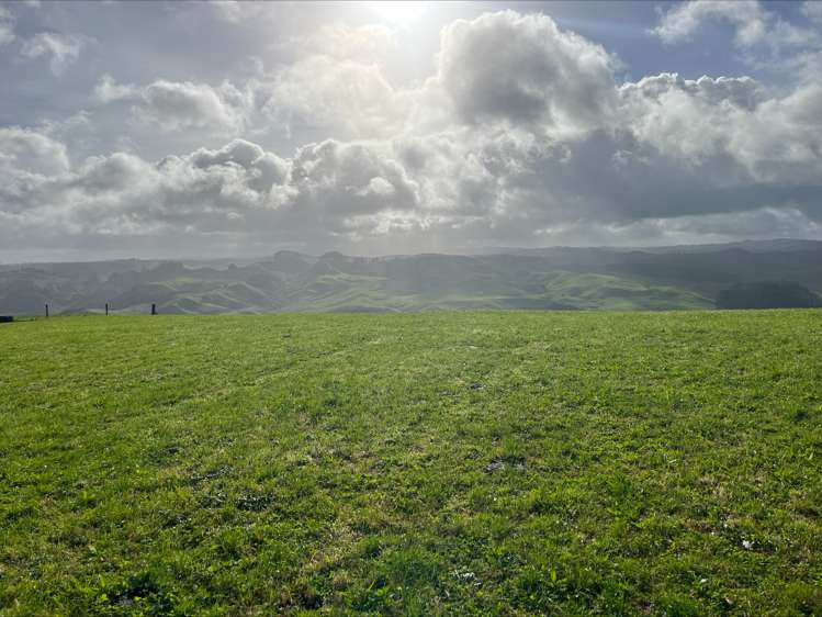 352 Rimutauteka Road Inglewood_6