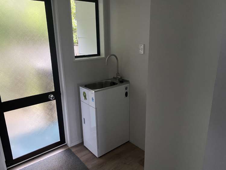 36a Black Beech Street Birchville_6