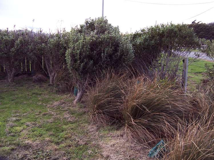 35 Surrey Street Orepuki_17