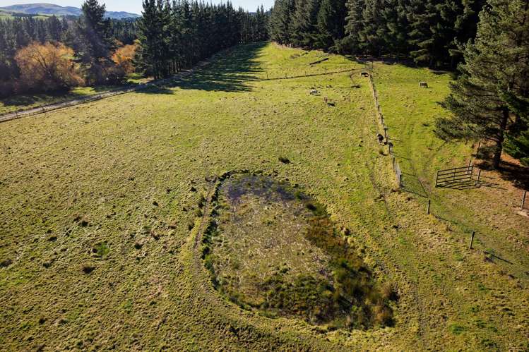 8P Davaar Road Greta Valley_22