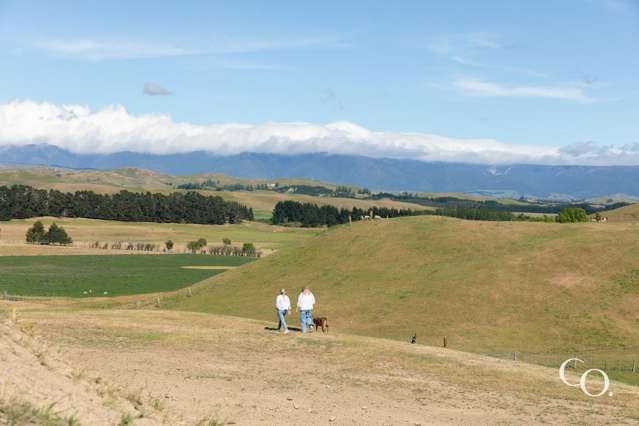 Lot 1/516 Salisbury Road Maraekakaho_1