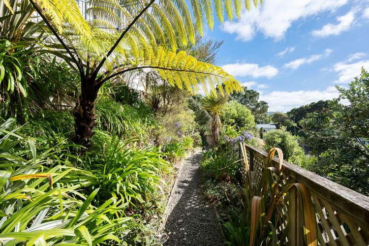 49 Buckingham Street Melrose_14