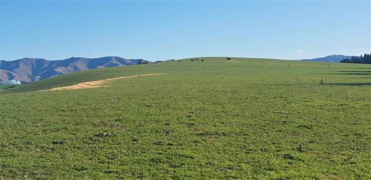 17 Esk Bank Road Otaio_3