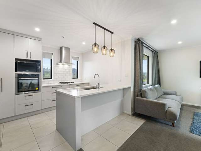 19 Harry Richards Way Pokeno_1