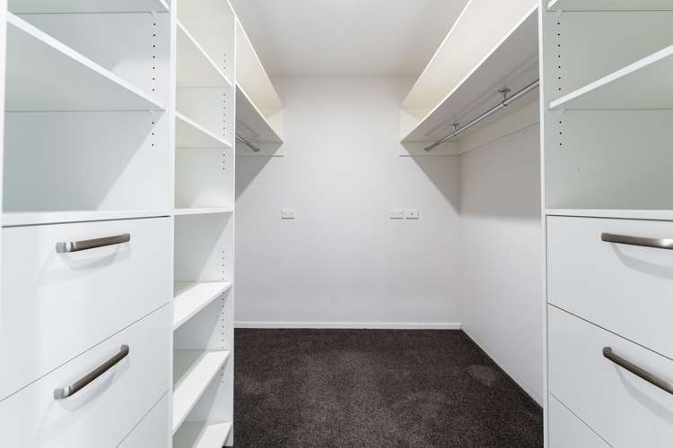 7 Vampire Road Waldronville_10