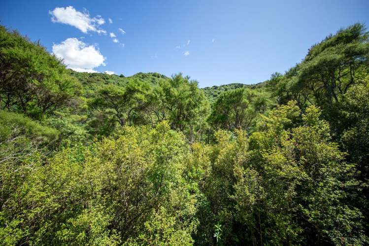 39 Lookout Road, Peel Forest_2