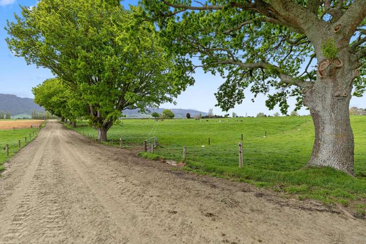 72 Harding Road Turangaomoana_23