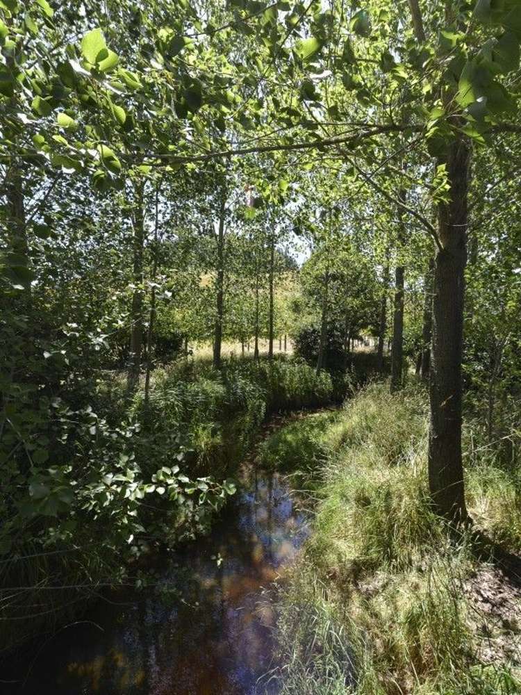 97 Brake Road Ngongotaha_16