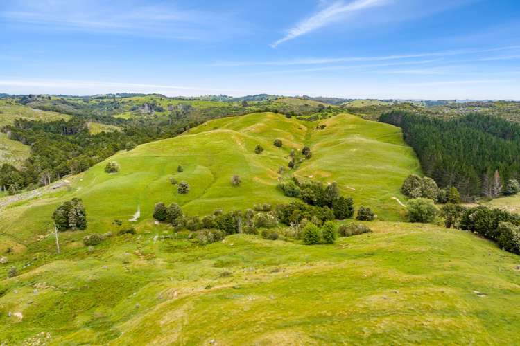 1228a Bull Road Paparoa_23