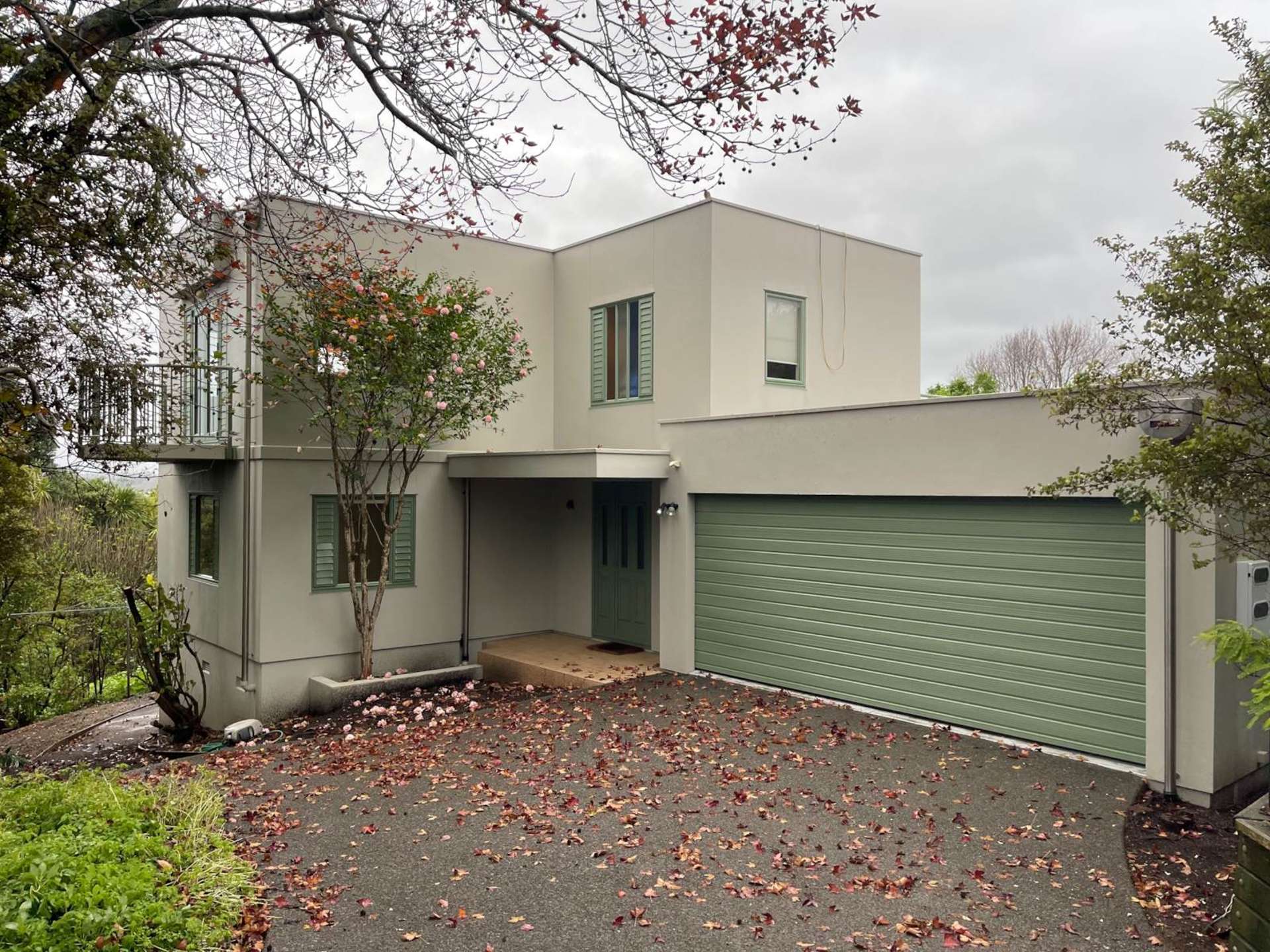 9A Ringwood Street Torbay_0