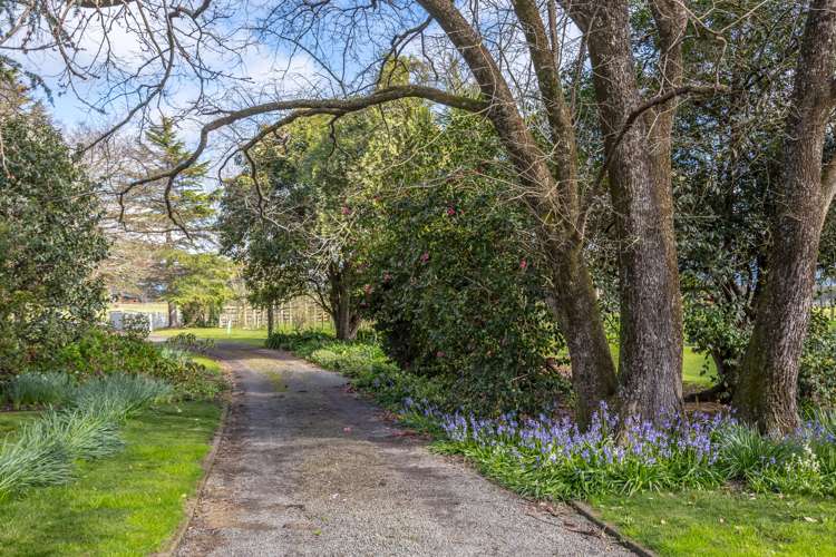 231 Masterton Castlepoint Road Masterton_21