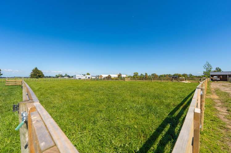 168D Nannestads Line Bunnythorpe_25