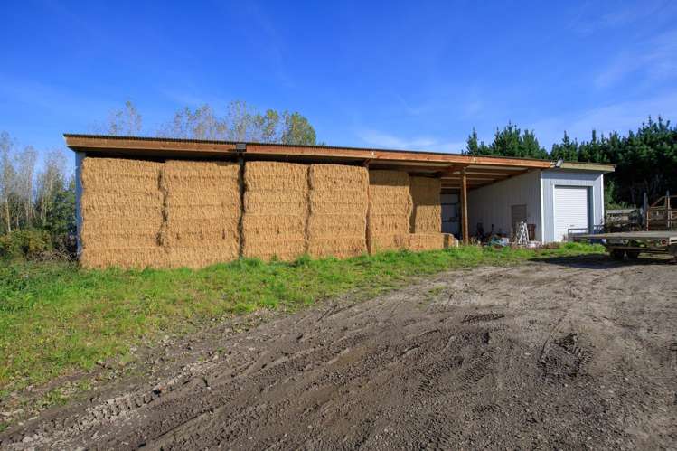 414 Naughton Road Kerrytown_12