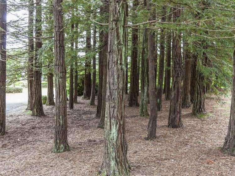 130 Te Arapipi Road Thames_35