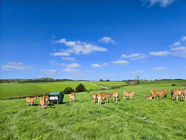 213 Lindquist Road Ararua_20