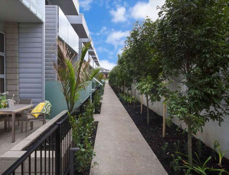 403 Murphys Road Flat Bush_11