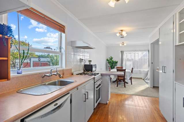 39 Winchester Street Levin_1