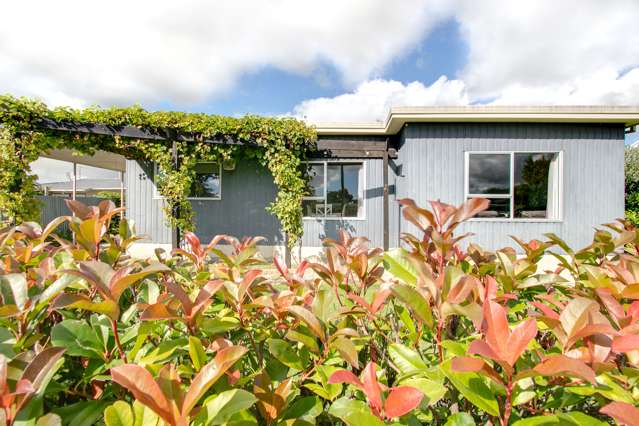 27 Lyttelton Crescent Tamatea_1