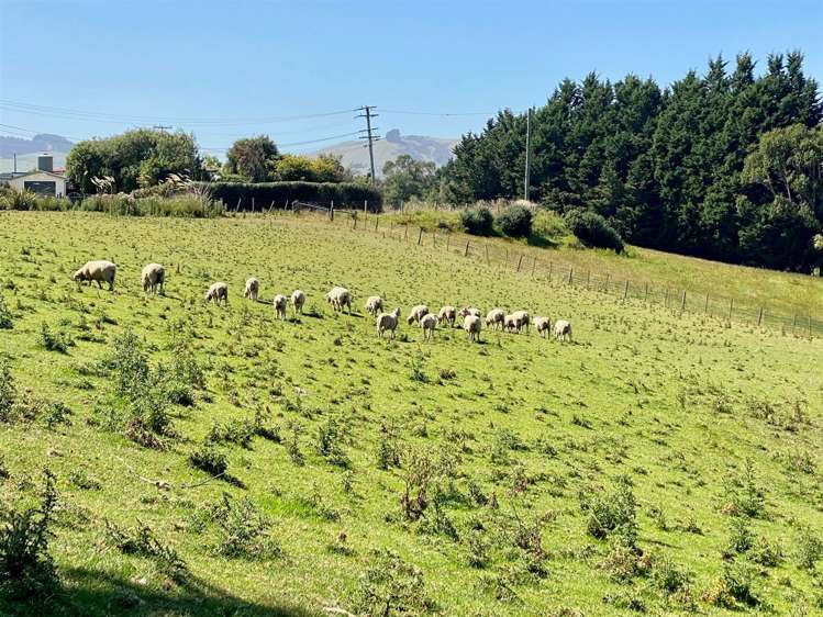 11 Macandrew Street Owaka_2