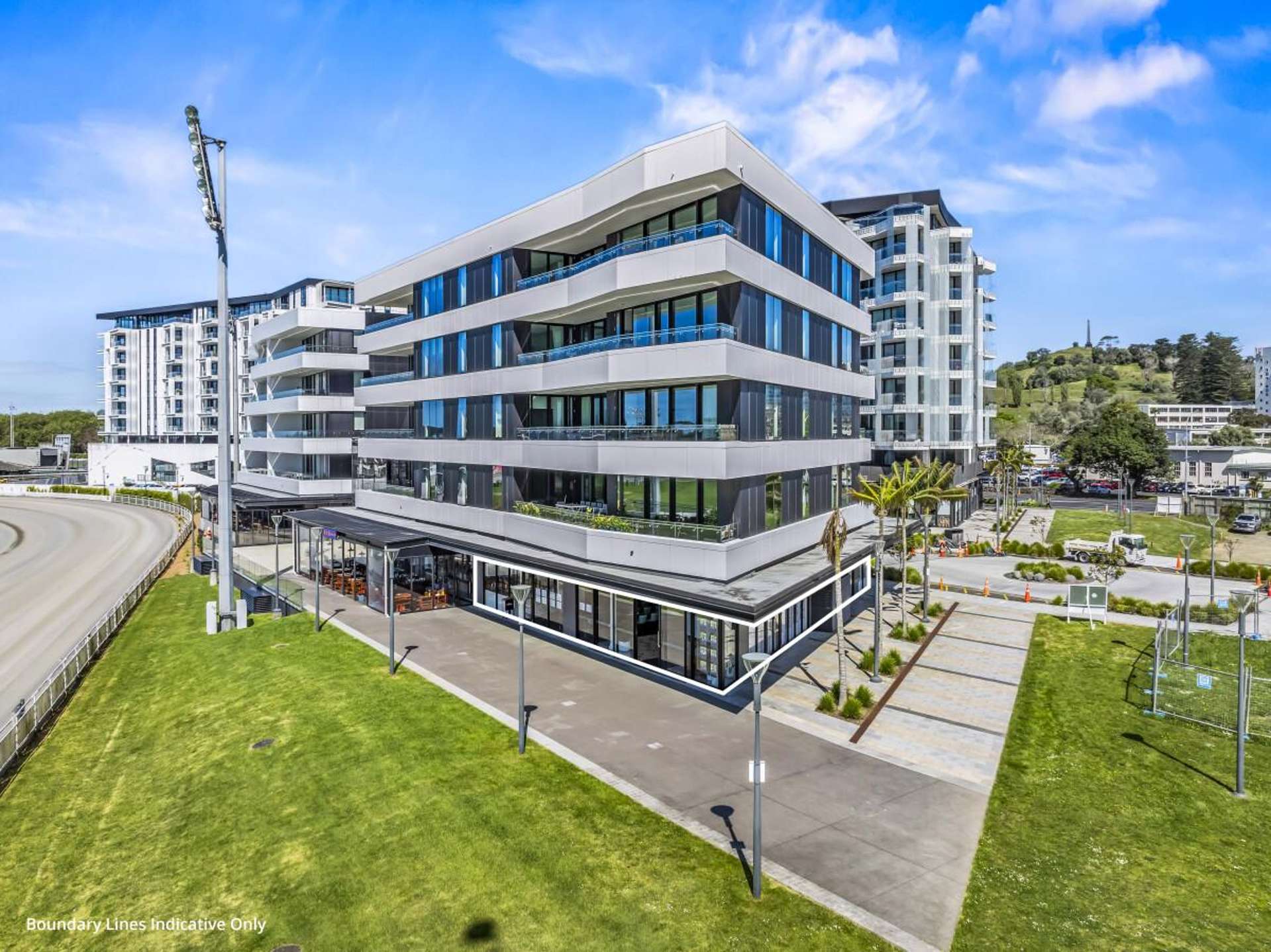 223 Greenlane West Epsom_0