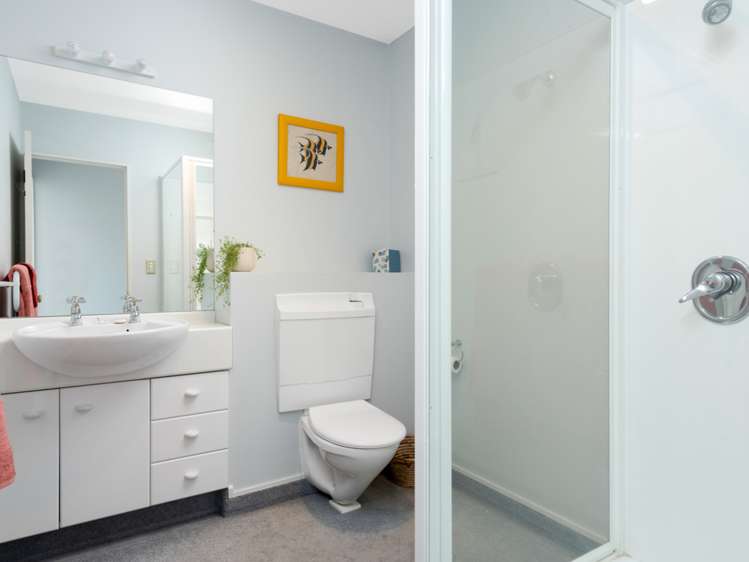 4b Clouston Gardens Springlands_13