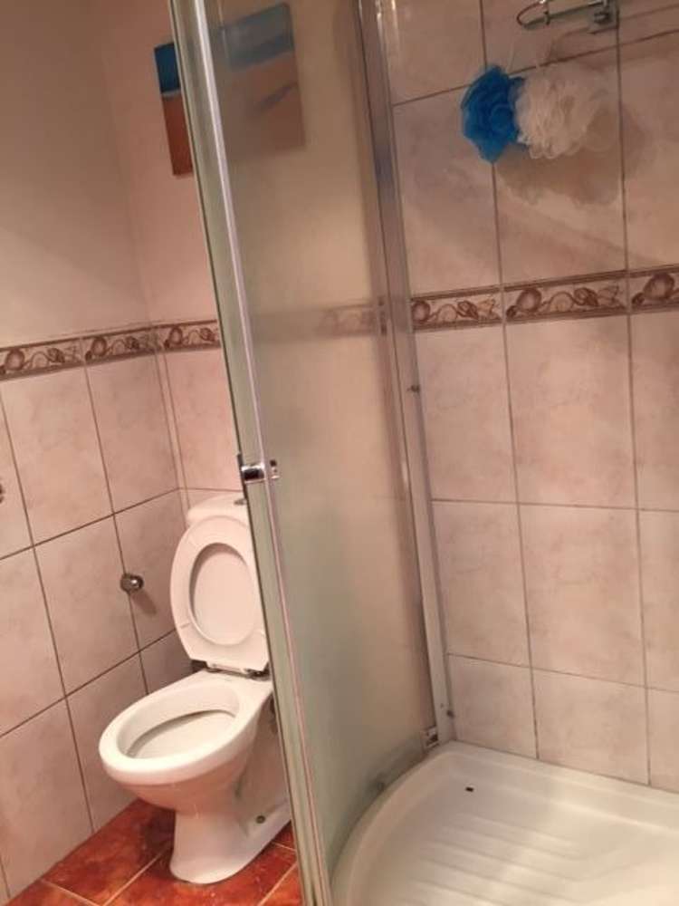 87 Hillsborough Road Hillsborough_10