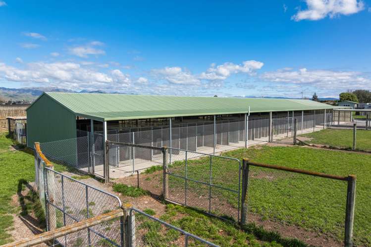 519 Old Renwick Road Springlands_28