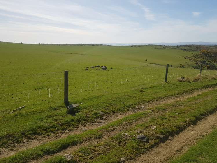 173 Glenfalloch Road Catlins Surrounds_7