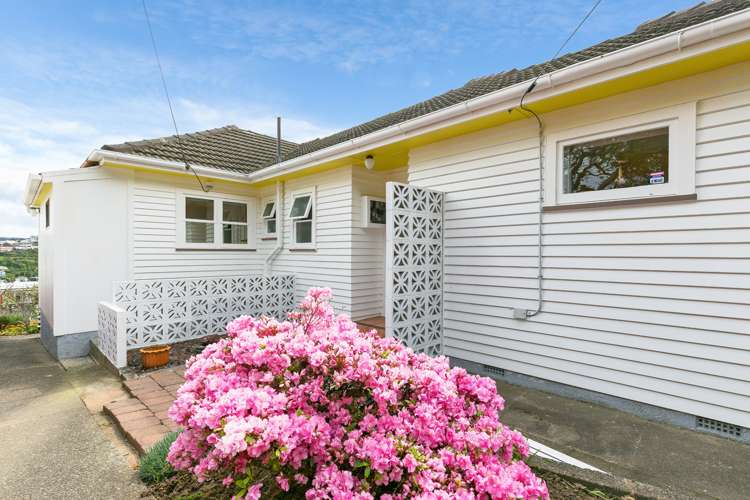 23 Nevay Road Miramar_17