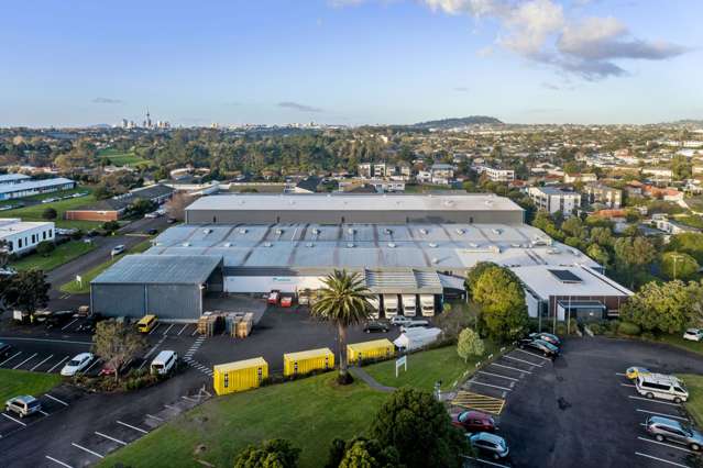 56 Carrington Road Point Chevalier_2