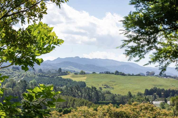 470 Wright Road Aongatete_21