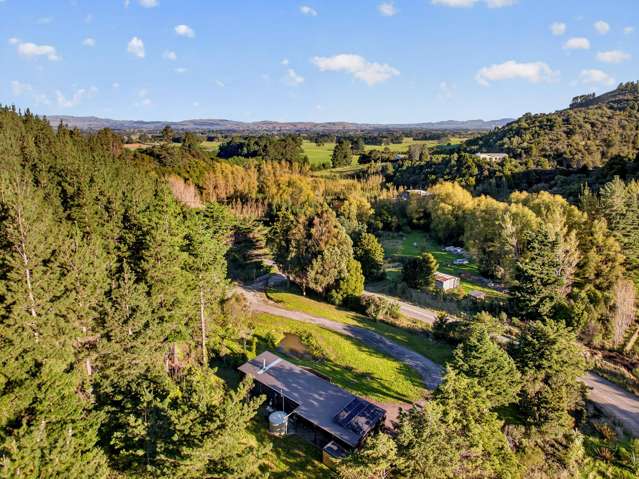 90 Hoeke Road Carrington_3