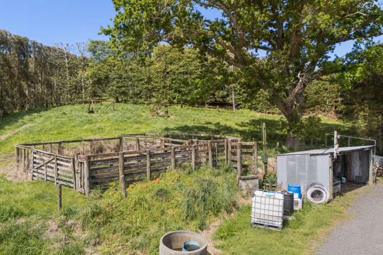 22 Noron Place Katikati_28
