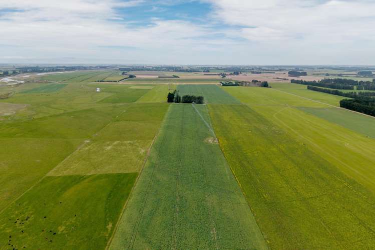 83 Highfield Road Dunsandel_11