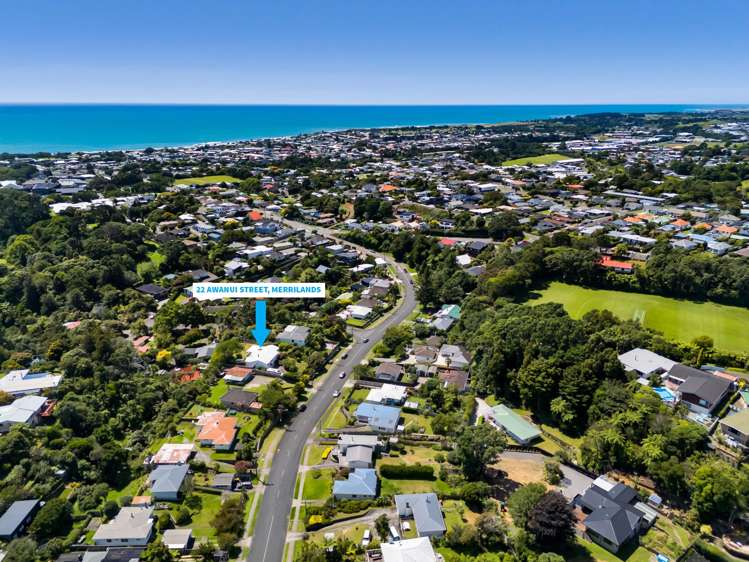 22 Awanui Street Merrilands_33